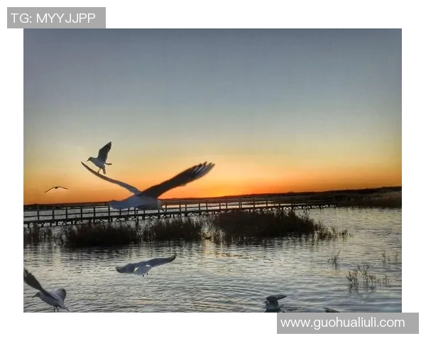 马内村庄足球明星的成长之路与梦想追逐的故事